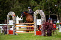 16a. Equineworld Amateur Classic