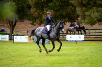 14b. Pryde's Easifeeds Future Stars 1.20-1.25m