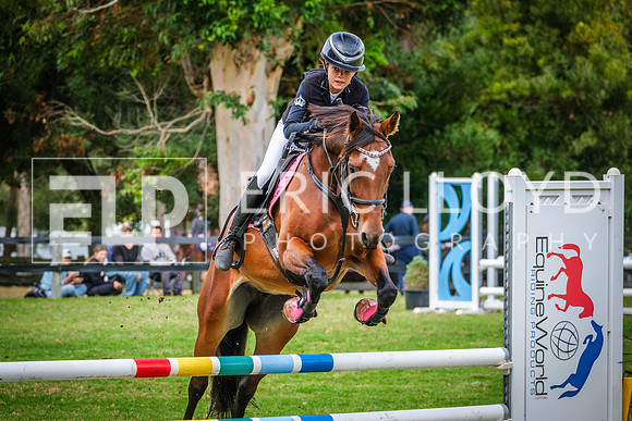 DSCF3220