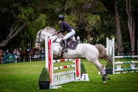 25a DVNY Saddlery Junior Classic 0.9m Table A 18 & under