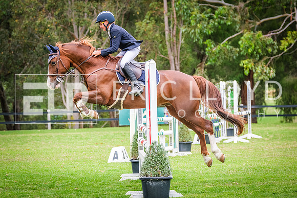 DSCF3565