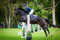 25b DVNY Saddlery Senior Classic 0.90m Table A Over 18