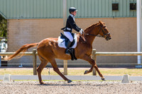 Perth Dressage Club  13 11 2016