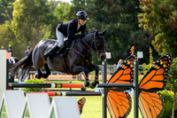 7 Brajkovich Demolition & JWA Silver Series 1.20m AM5