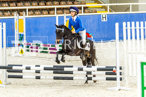 IMGP1384