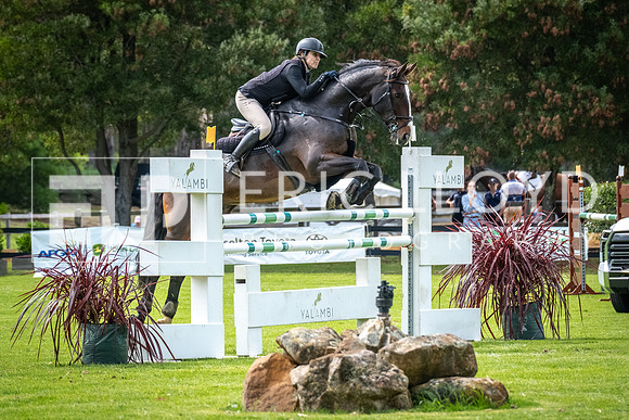 DSCF3717
