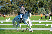 Dressage 8.30-10am
