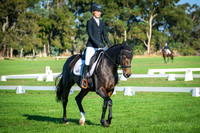 DSCF5464