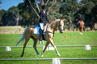 Dressage 10am-11.30am