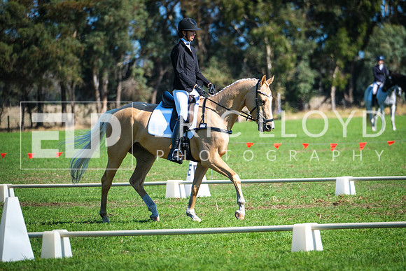 DSCF6191