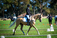 DSCF6195