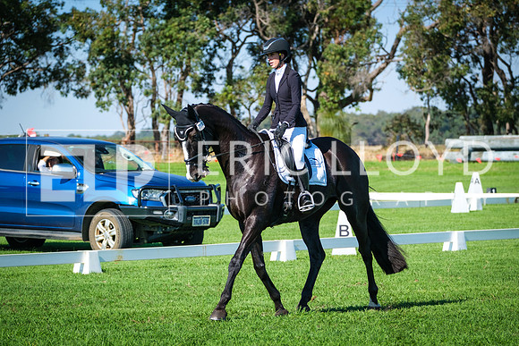 DSCF6208