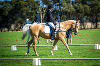 DSCF6239