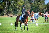 Dressage 11.30am-1.30pm