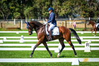 DSCF7147