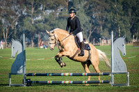 DSCF0357