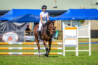 DSCF2529