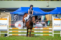 DSCF2548