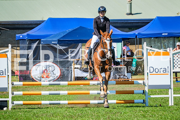 DSCF1546