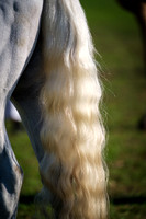 DSCF0441