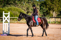 DSCF5586