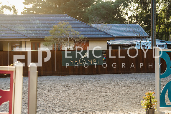 IMGP3577
