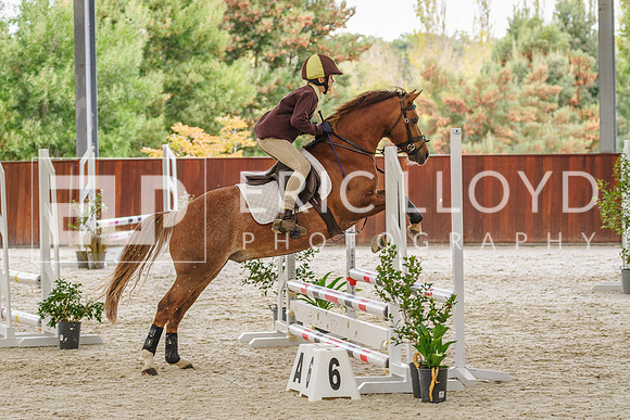 IMGP0169