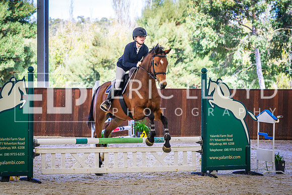IMGP8751