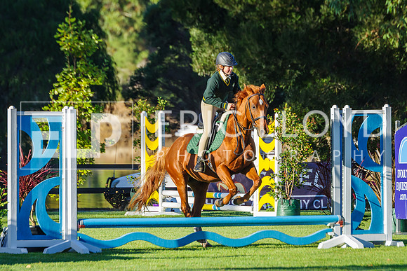 IMGP9206