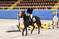 DSCF3588