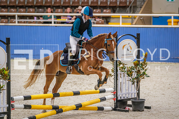 DSCF3738