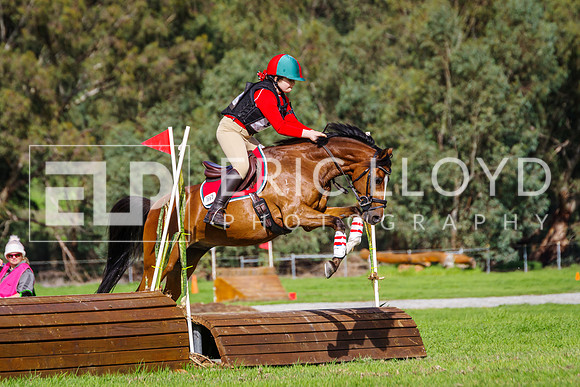 IMGP1477