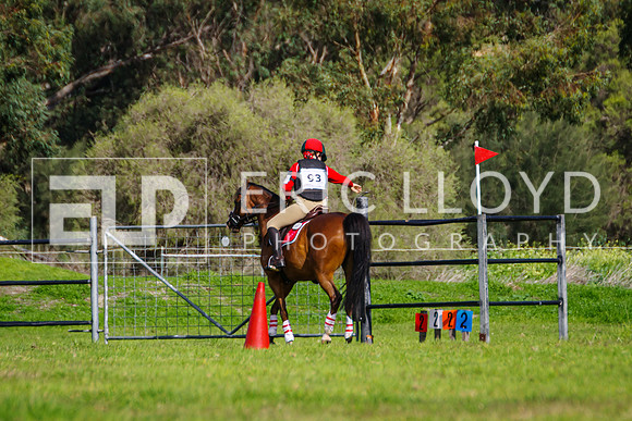 IMGP1479