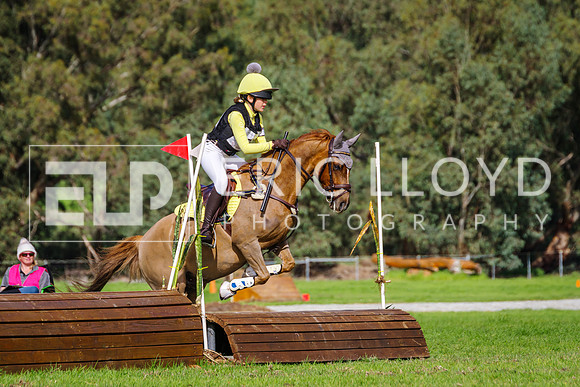 IMGP1448