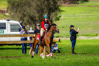 IMGP1467