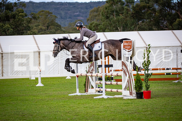 DSCF6292