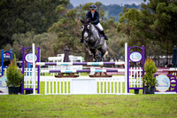 Young Horse Series Round 1