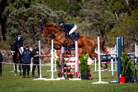 6a. Team Bond Young Horse Round 2 - 7 Year Old
