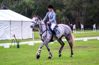 9A. Kentaur Aus Young Horse Series ROUND 2 - 4yr (80cm)