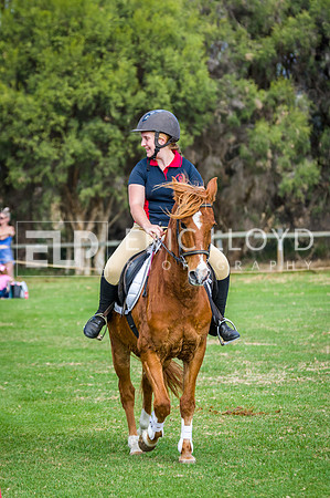 untitled-6804