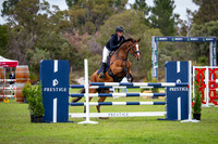 13. Ashbridge Stables State Junior Title
