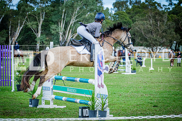 DSCF0575