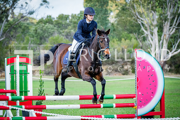 DSCF0640