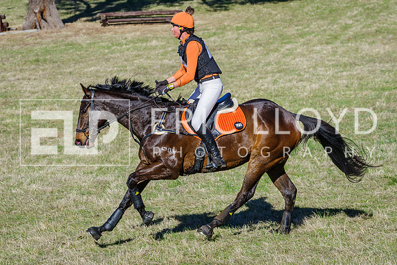 IMGP8253