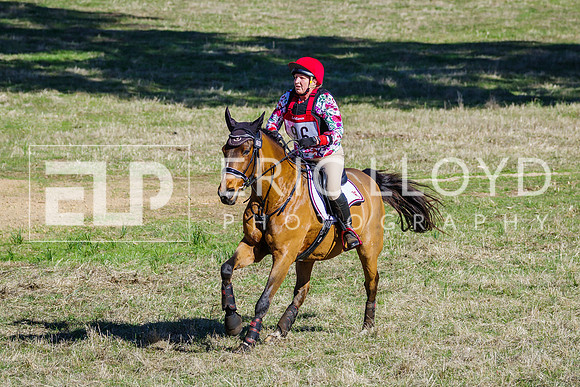 IMGP8495