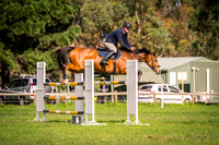 IMGP1446