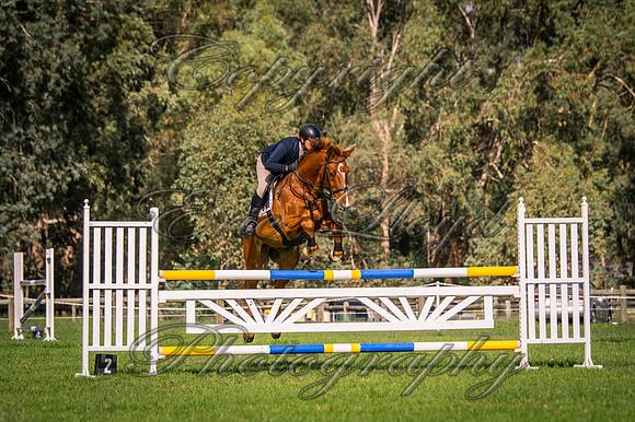 IMGP1457
