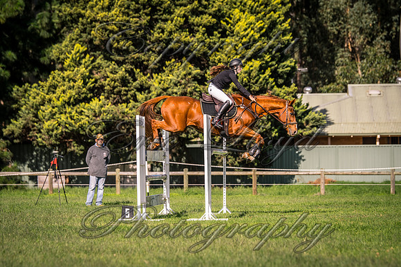 IMGP1484