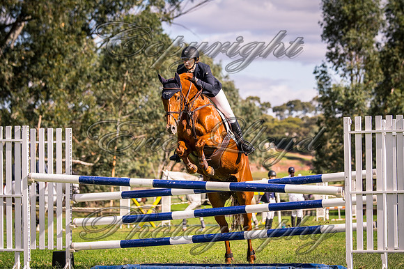 IMGP1496