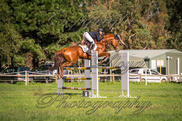 IMGP1494
